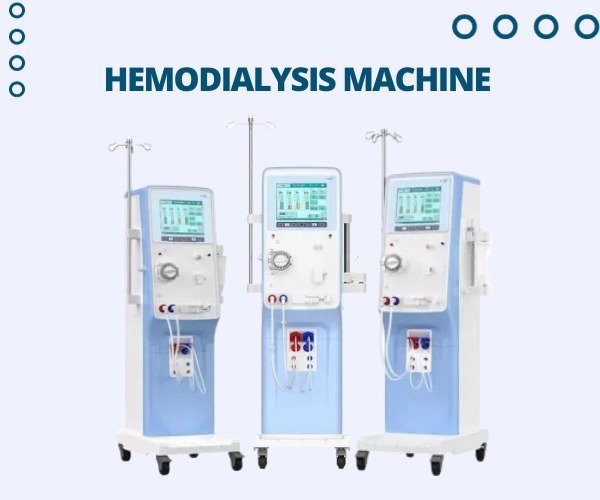 WhatsApp Image 2023-11-17 at 6.26.26 PM